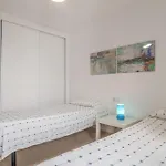 En Rotonda Atalaya * Conil De La Frontera